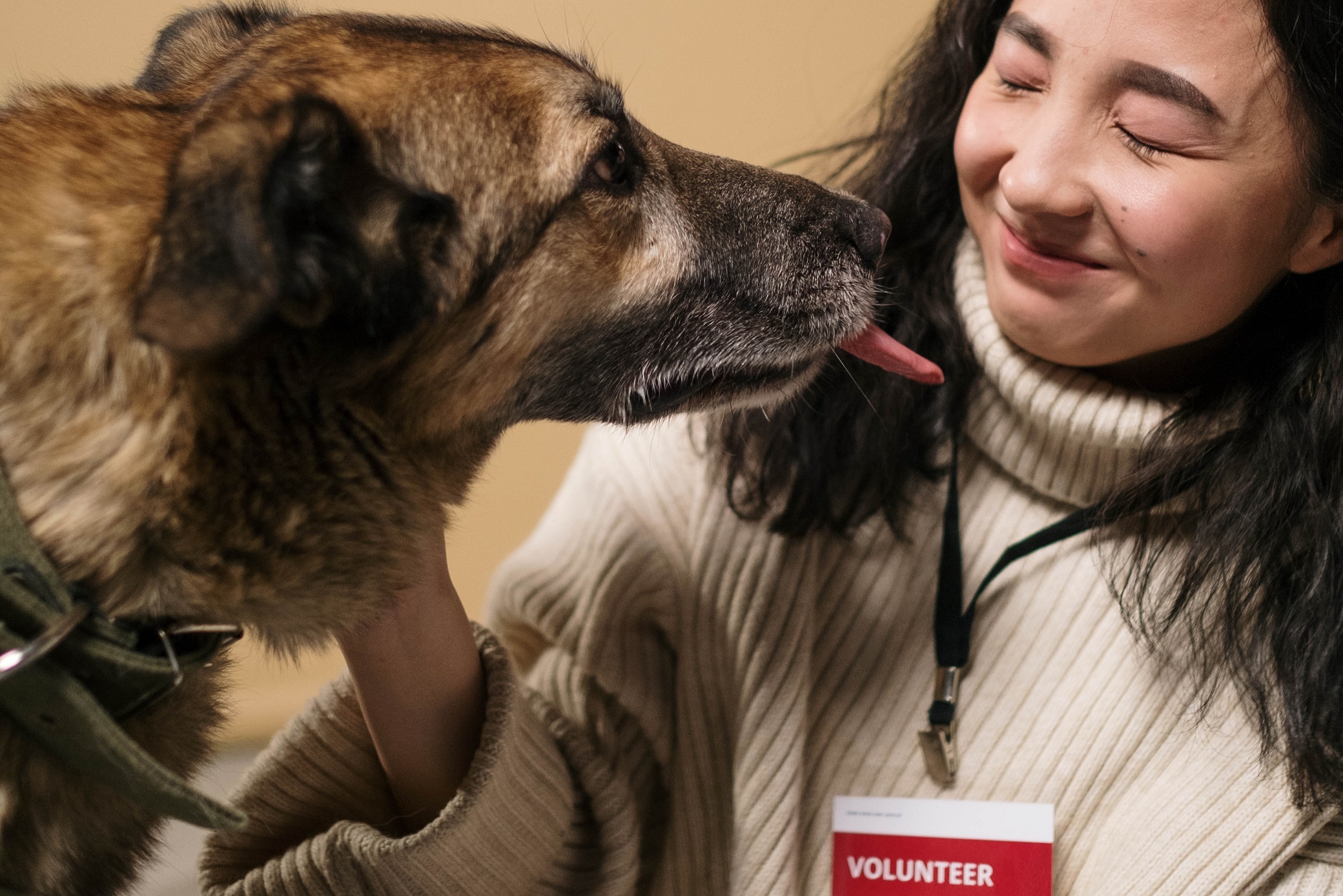 Volunteering At An Animal Shelter   Animal Shelter Volunteer 