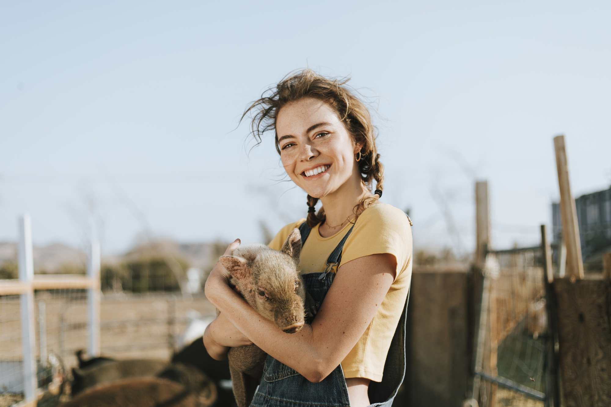 volunteering-on-a-farm-a-guide-to-farm-volunteer-work