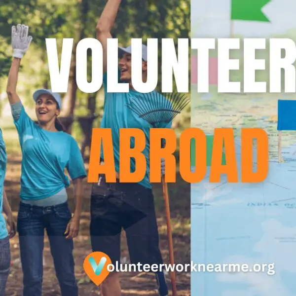 Library Volunteer - How To Volunteer At A Library Near You